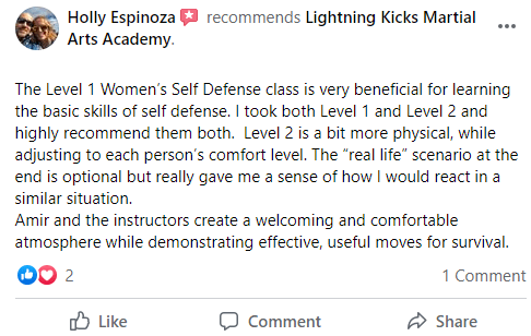 Special Offer &#8211; Women&#8217;s Self-Defense, Lightning Kicks Martial Arts Kalamazoo